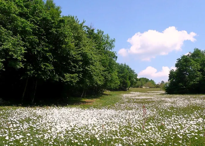 別荘 Domaene Mit Jacuzzi By Interhome Gavaudun