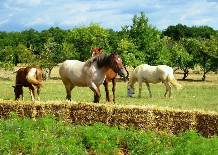 Domaene Mit Jacuzzi By Interhome